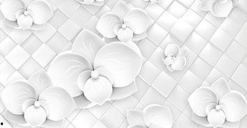 广西白色背景图片,探寻壮乡色彩画卷  第3张