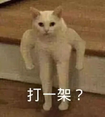 笑翻过去表情包,揭秘爆笑表情包背后的欢乐力量