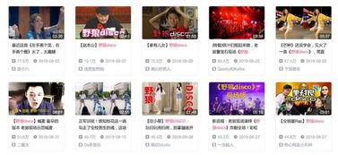 野狼娱乐,引领潮流的娱乐新势力