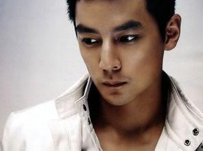 国民男神明星,闪耀舞台的璀璨星辰 第3张 国民男神明星,闪耀舞台的璀璨星辰 第3张